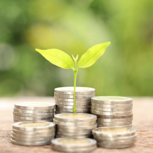 土地の売却で手残りを増やすコツとは?諸経費を抑える方法を伝授